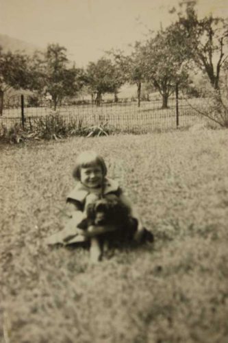 Cocker Spaniel as Loyal as They Come